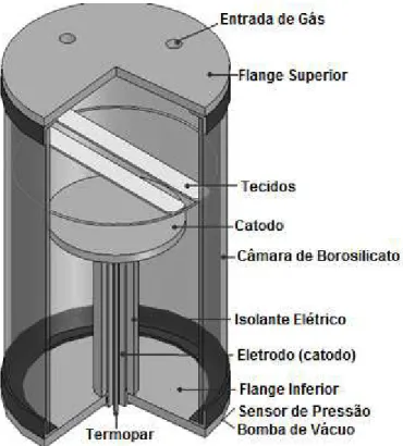 Figura 3.1 – Desenho esquemático do reator de plasma usado no tratamento dos filmes de  poliéster (Costa, T