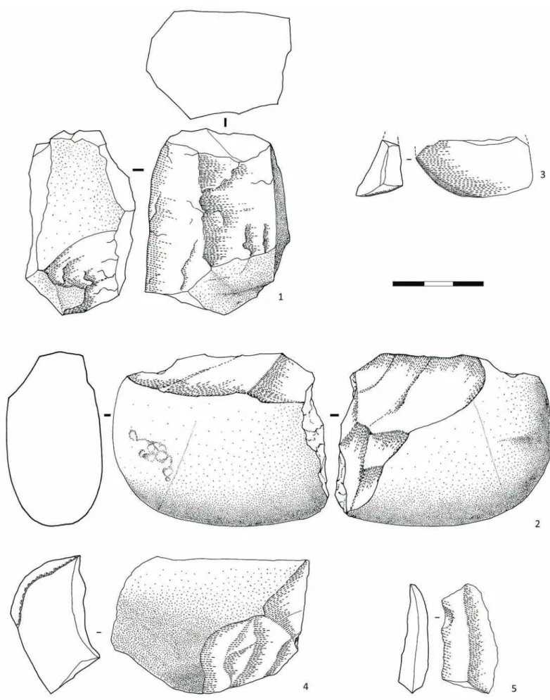Fig. 12 - Medo da Fonte Santa. Lithic assemblage. Expediently organized technological subsystem on cobbles