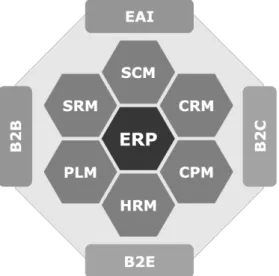 Figura 2 – Aplicação de TI para integração da gestão empresarial  Fonte: Moller (2005) 