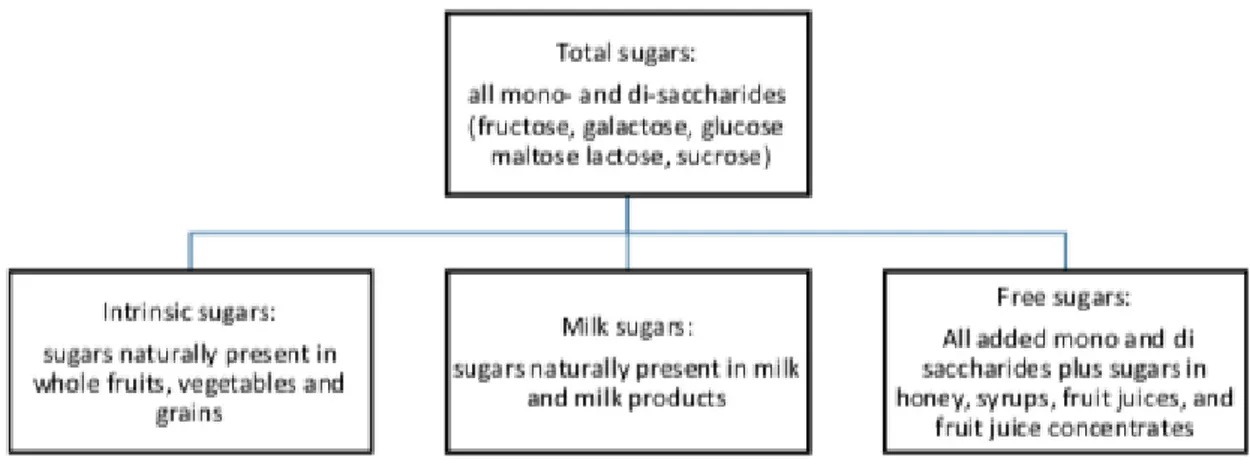 Figura 3: classificação dos açúcares. (P. Moynihan et al., 2018). 