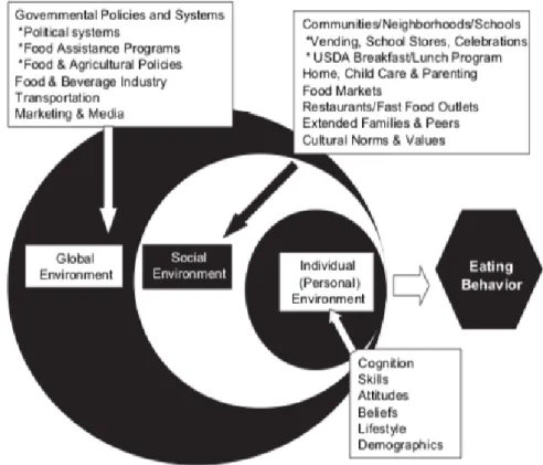 Figura 4: Um modelo ecológico que identifica fatores que influenciam os comportamentos alimentares