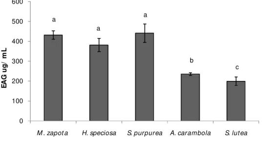 Figura 1. Compostos fenólicos totais de extrato aquoso de frutas tropicais, expresso em  Equivalente de Ácido Gálico (EAG) ug/ mL