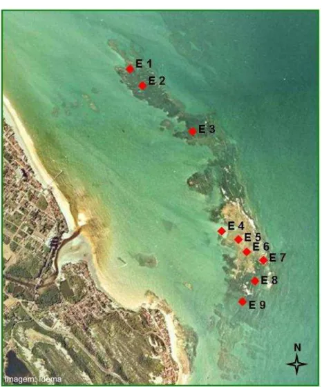 Figura 2. Localização das estações de coleta sobre a franja recifal de Pirangi, Rio Grande do  Norte
