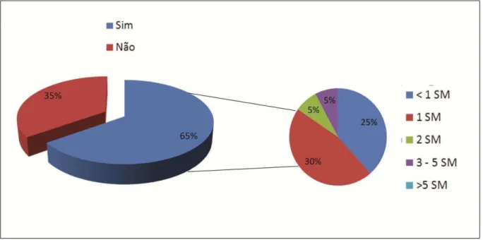 GRÁFICO  –  1:  Distribuição  percentual  das  mulheres  em  situação  de  violência,  segundo renda individual