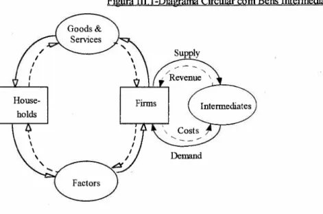 Figura III.I-Diagrama Circular com Bens Intennediários