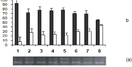 Figure  3:  Percentage  of  bacterial  plasmid  forms  (a)  and  photograph  (b)  of  agarose  gel  after  electrophoresis  of  plasmid  pBSK  treated  with  naproxen  in  presence  and  absence  of  SnCl 2 