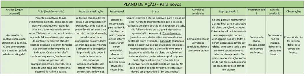 Figura 1 - Modelo Plano de Ação 