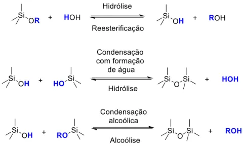 Figura 2. Reações de condensação e hidrólise envolvidas na síntese sol-gel de sílicas