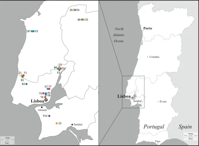 Figure 3. Map showing sampling sites where  Tetranychus urticae were collected in the Tagus Valley region  around Lisbon on different host plants:  bean (green dots), eggplant (blue dots), purple (purple dots), tomato  (red dots), and zucchini (orange dots