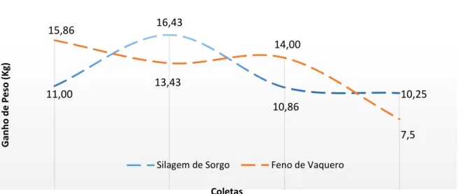 Gráfico 2. Ganho de peso dos animais alimentados com silagem de sorgo e feno de vaqueiro ao  longo do período experimental 