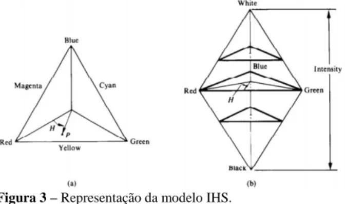 Figura 3 – Representação da modelo IHS. 
