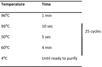 Table  I  -  Plasmids  for  the  synthesis  of  riboprobes  and  the  enzymes  used  for  digestion  and  RNA  polymerization