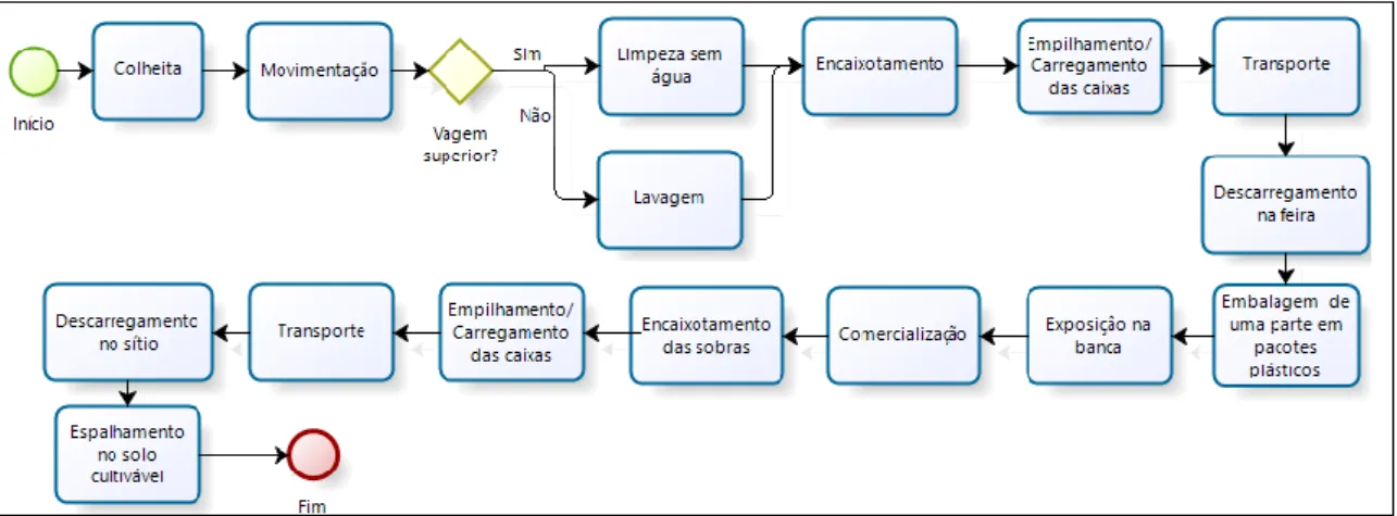 Figura 4: Mapeamento de processos: vagem 
