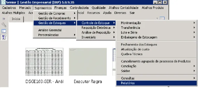 Figura 9: Exemplo de tela de acesso aos relatórios 