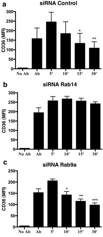 Figure 5.  Rab14 silencing impairs the internalization of CD36. Macrophages were treated with (a) siRNA  control, (b) siRNA for Rab14 or (c) siRNA for Rab9a and the surface levels of CD36 analyzed by flow cytometry