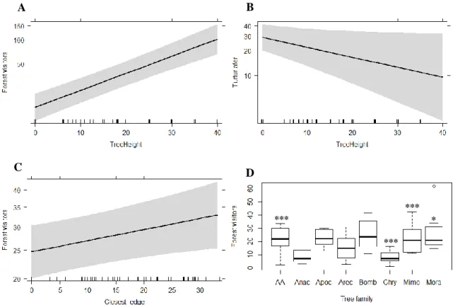 Figure 3.4 - Plots of the effect of tree height on Forest visitors’ (A) and Blue-spotted Wood-doves’ (B) abundance, with 95% 