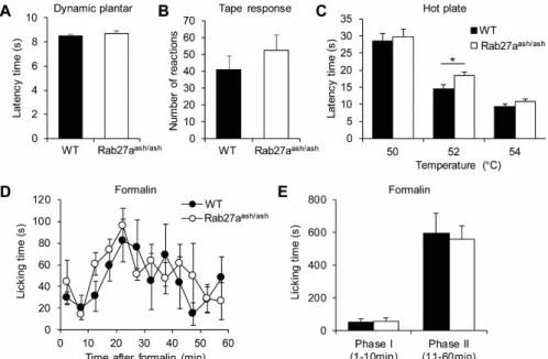 Figure 5. Rab27a ash/ash mice show normal responses in basal mechanical and nociceptive pain models.