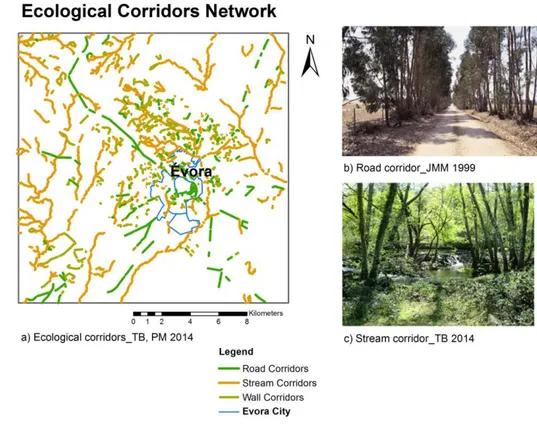 Fig.  7  –  Stream  and  road  vegetation  galleries:  localization  map  and  examples  (map  authors:  Teresa 