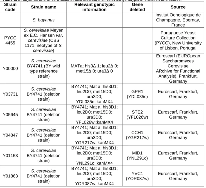 Table 1. S. bayanus and S. cerevisiae strains studied, their relevant genotypic information and source