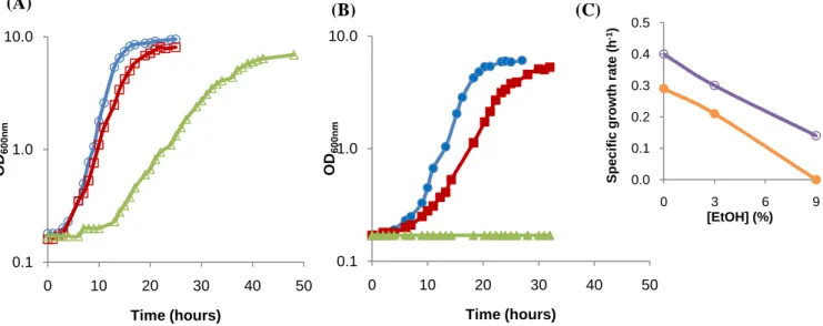 Fig. 2. S. bayanus and S. cerevisiae neotype strain growth curves. 