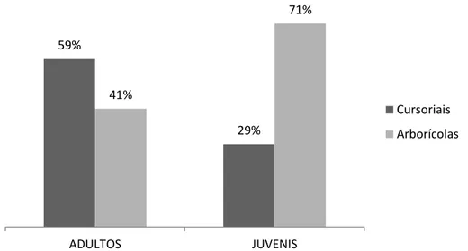 Figura  6:  Porcentagem  da  contribuição  de  jovens  e  adultos  representados  pelas  macroguildas de aranhas de solo e arborícolas das amostras 