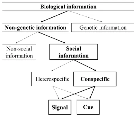 Figure 1. Adapted from  A taxonomy of biological information (Wagner and Danchin,  2010)