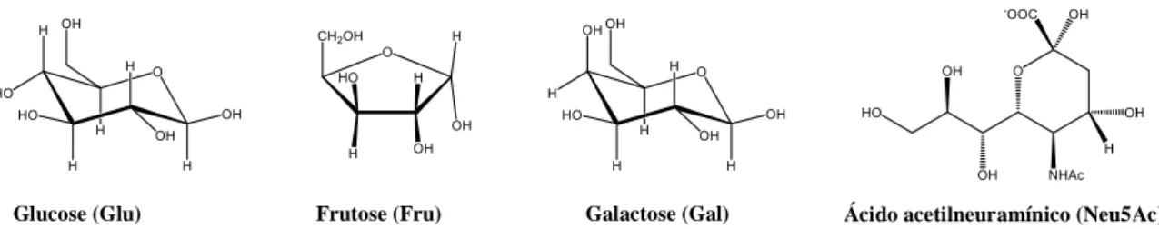Figura 1.2. Estrutura de monossacarídeos presentes na composição de glicoproteínas. Adaptado de [17].