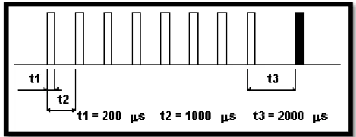 Figura 7 - Impulso LORAN de uma estação master  18