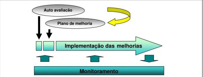 Figura 1: Processo de implementação das melhorias propostas pelo Gespública.