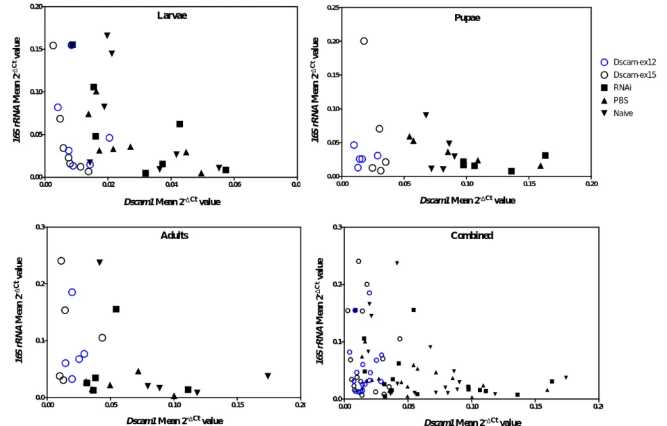 Figure 3.5 – Relative expression of the bacterial 16S rRNA against relative expression of Dscam1