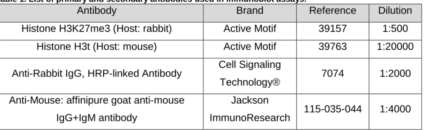 Table 1. List of primary and secondary antibodies used in immunoblot assays. 