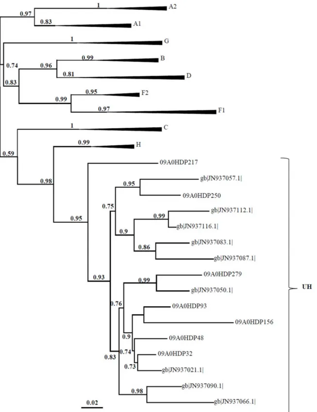 Figure 2. Evolutionary relationships of the U/H recombinants. Sequences of U/H recombinants (named with 09AOHDP) were aligned with those of a previous study (named gb, GenBank)[4]._ENREF_4 The aLRT values supporting the internal branches defining a subtype