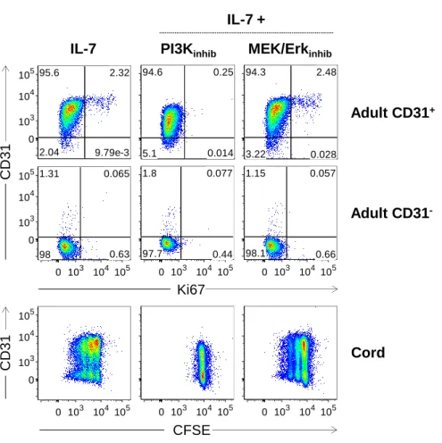 Figure 5: IL-7-induced proliferation of adult CD31 +  and cord blood naive CD4 +  T cells is dependent  on the PI3K pathway