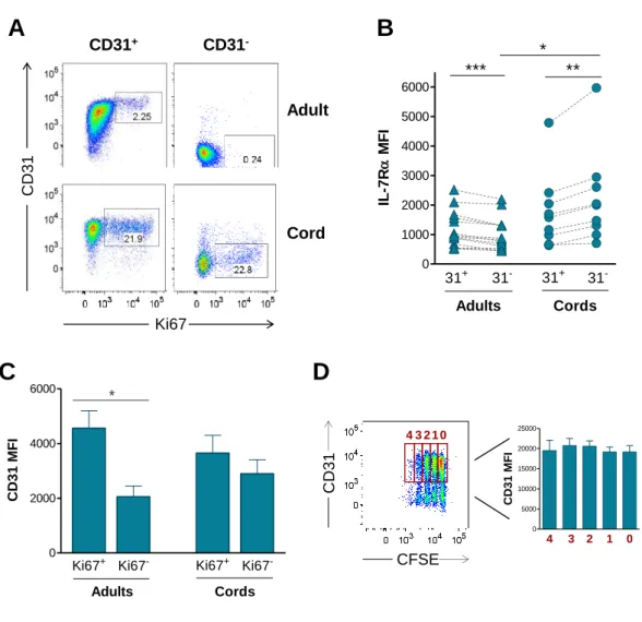 Figure 2: IL-7-induced cycling of adult naive CD4 +  T cells is restricted to the CD31 +  subset