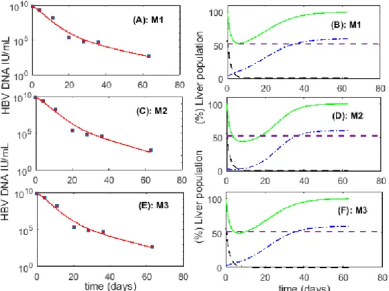 Figure 1. Panels (A), (C) and (E) represent the best fit (line) to hepatitis B virus (HBV) viremia data  (squares) for patient 1 using M1,  M2 and M3 respectively; panels (B), (D) and (F) represent (%)  infected cell population (I, black dashed line), (%) 