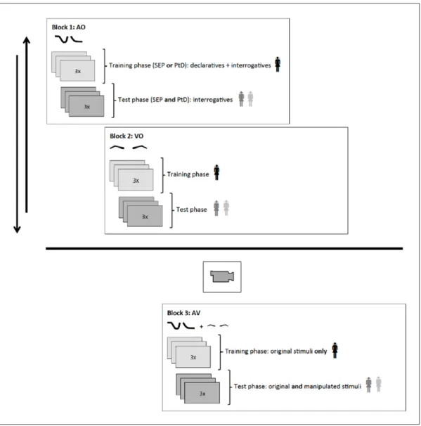 Figure 2: Detailed scheme of the experimental design.