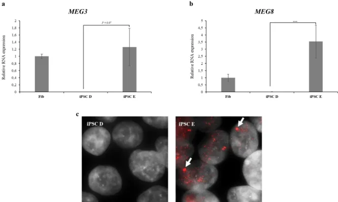 Figure 3.2 - MEG3 expression. a) RT-qPCR analysis of  MEG3 RNA expression in fibroblasts, iPSC D and E; b) RT-qPCR  analysis of MEG8 RNA expression in fibroblasts, iPSC D and E