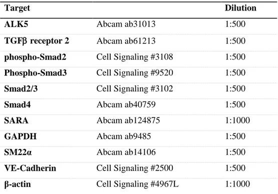Table 1: Description of the primary antibodies and respective dilution factor .  