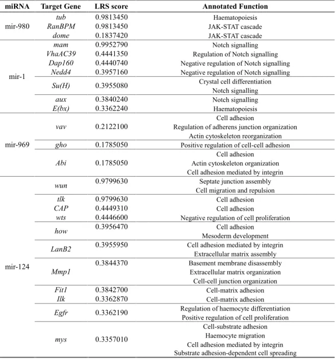 Table 3.2 – Retrieved immune-related target genes for candidate miRNAs obtained from the haematopoiesis screen.