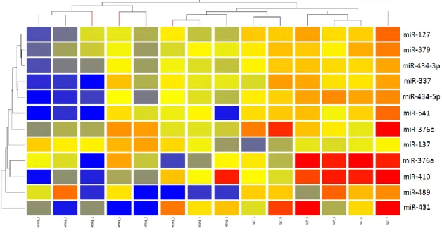 Figure 3: Hierarchical 2D-clustering produced for non-averaged significant miRNA lists via Euclidean distance metric  and average linkage