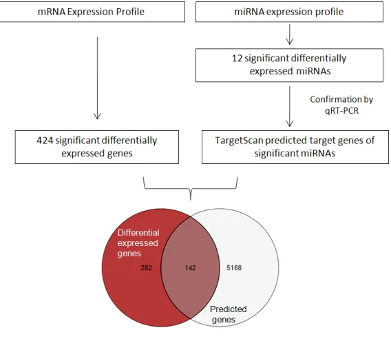 Fig 6: Skematic representation of combinatorial approach used to identify significant miRNAs and their mRNA target  genes