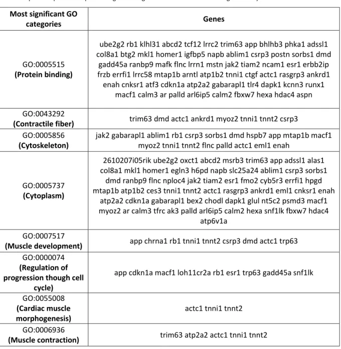 Table 5: Gene ontology categories and respective genes integrated for p-value &lt;0.02 of significant genes matching  mRNA expression profile and predicted genes of significant miRNAs
