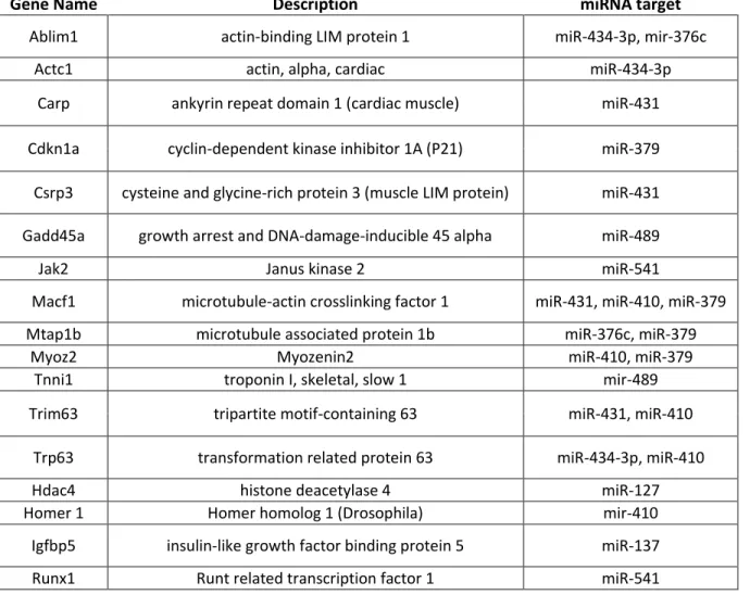 Table 6: Genes selected for further studies based on mRNA expression profile and predicted target genes of significant  miRNAs list (142 genes)
