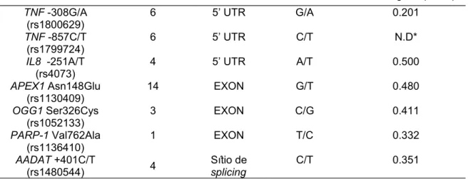 Tabela 2: Polimorfismos estudados.