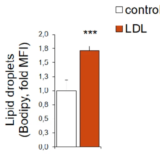 Figure 1.: Lipid droplets content of LDL exposed MDA-MB-231 cells 