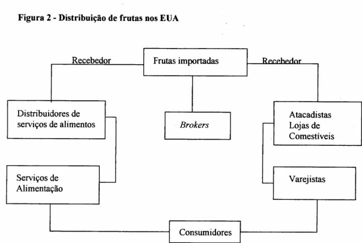 Figura 2 - Distribuição de frutas nos EUA