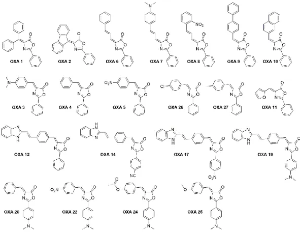Figure 1.9. Chemical structure of the 21 oxazolone derivatives developed in this team by Catarina  Rodrigues and tested in cell lines