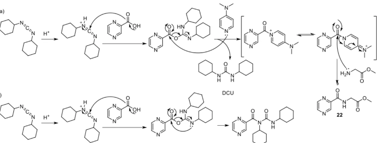Figure 3.4.  a)  1 H-NMR spectrum of urea resulting from an intramolecular attack of the intermediate formed  with DCC, b)  1 H-NMR spectrum of compound 22, synthesized from the reaction between glycine methyl  ester hydrochloride and pyrazine-2-carboxylic