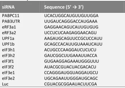 Table II.2. Sequences of the siRNAs used in the current work. 