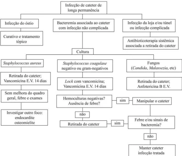 Figura 1 - Algoritmo de tratamento dos pacientes com infecção de cateter venoso central de longa permanência